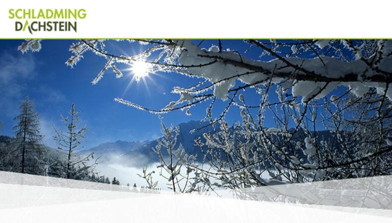 Hotel Vitaler Landauerhof Schladming Exterior foto